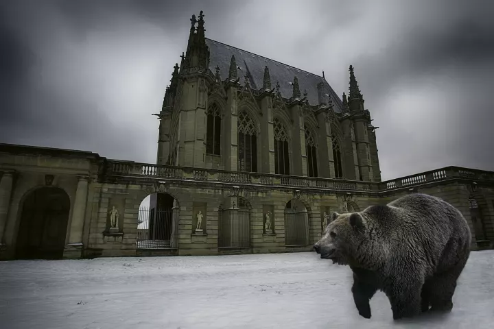 Un ours se promenant devant le château de Vincennes dans une ambiance neigeuse.