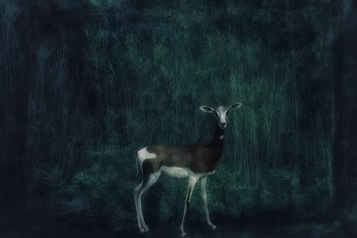 Bestiaire Imaginaire 036v3OKd Une gazelle Dama devant en décor végétal bleu-vert composé principalement de bambous.