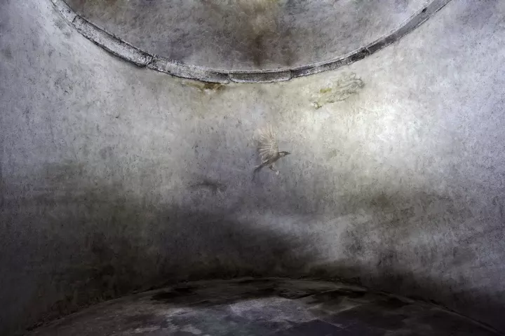 Chambre des rêves 002 Dans une pièce ronde, avec des ombres, un oiseau vole.