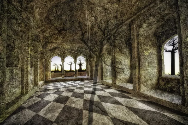 Le patio d'un couvent avec un sol en damier avec ses murs envahit par la végétation. au travers des ouvertures, on aperçoit des baobabs.