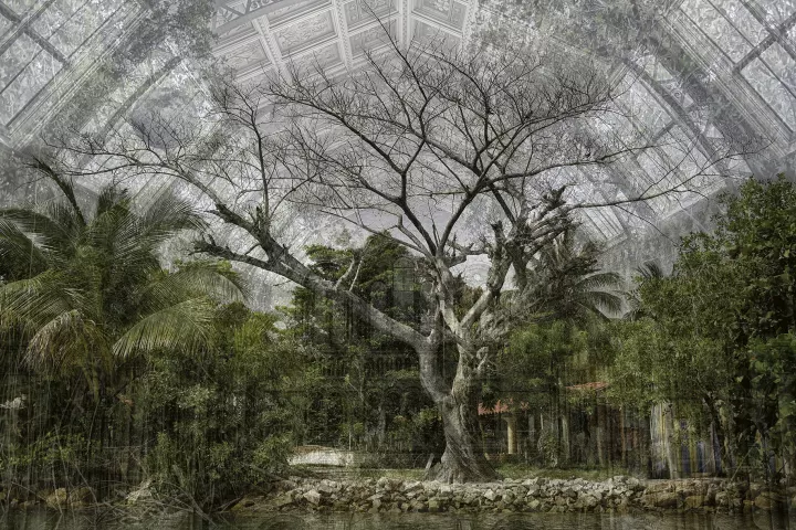 Sous un gigantesque dôme, une forêt tropicale luxuriante au bord de l'eau avec, en son milieu, un arbre mort titanesque.