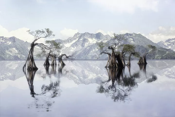 Fata Morgana 091 Les arbres qui dansent sur l'eau dans un paysage alpin.