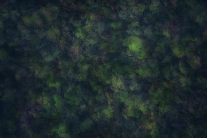Superpositions de fleurs dans une dominante verte.