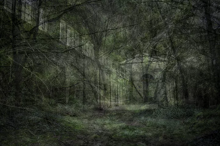 Images de forêts en surimpression avec un hangar sur une dominante de vert.