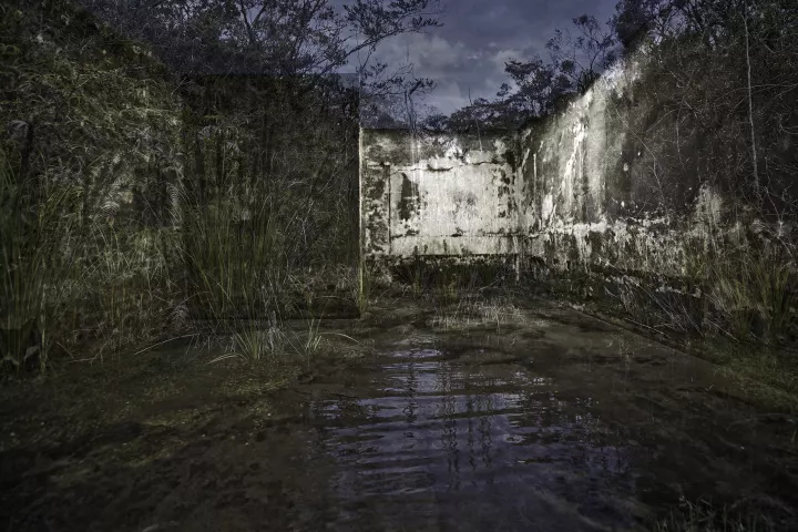 In Paradisum Auschwitz 021 Entre les murs d'une pièce abandonnée au plafond ouvert sur le ciel et au sol inondé, on distingue une végétation qui s'approprie les murs.