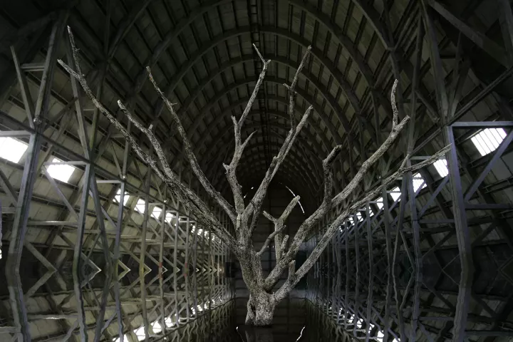Inscape 053 Dans un hangar à Zeppelin, un arbre mort trônant dans l'eau.