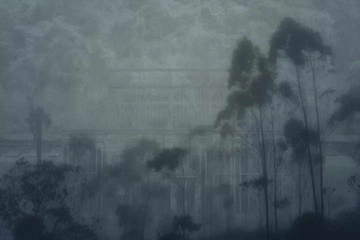 Marginaire 012 Le songe d'une serre ancienne envahit par la végétation dans la brume.