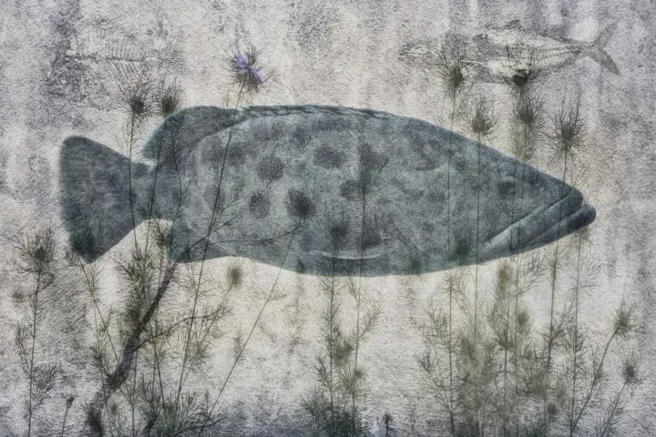 Un grand poisson bleu-vert flotte parmi de hautes plantes fines sur un fond clair et texturé.