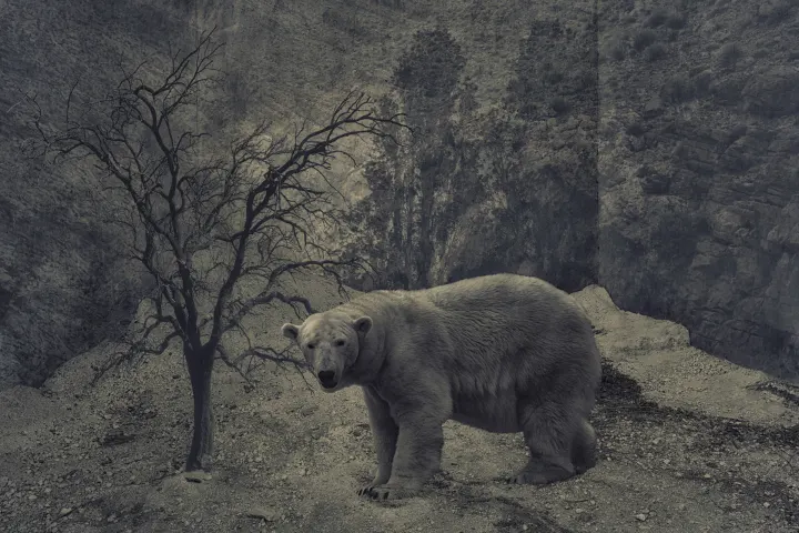 Un ours blanc se tient près d’un arbre dénudé dans un paysage minéral gris aux parois escarpées.