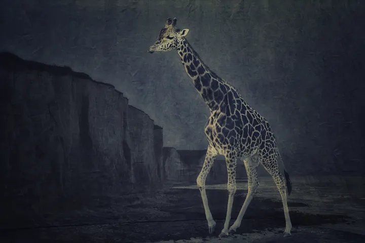 Une girafe se dresse dans un paysage nocturne bleu, devant des falaises et une architecture monumentale.